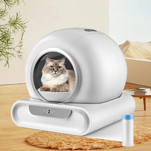 Toilette per gatti - toilette,