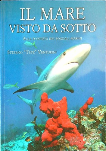 Mare visto sotto alla - il, da
