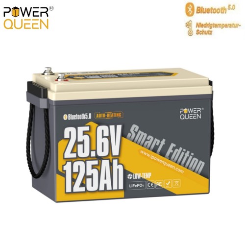 Power queen nuovo - nuovo, 125ah