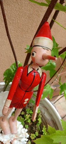 Pinocchietto della ditta - pinocchietto,