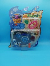 PAGURO Cuccioli Cerca Amici