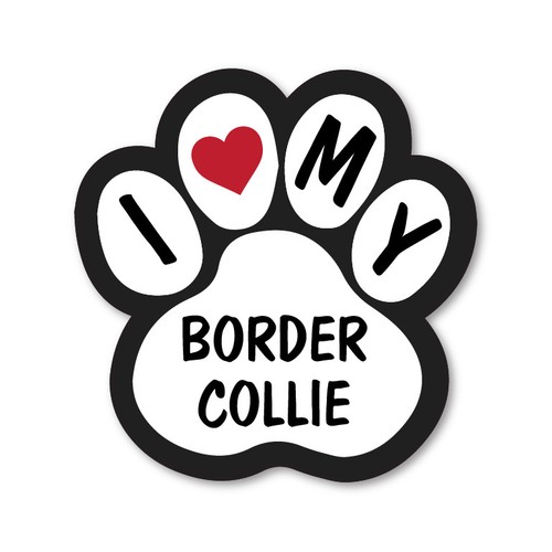 Love border collie car - love,