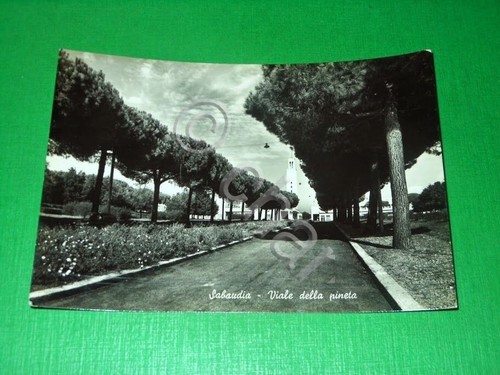 Cartolina teresa di gallura - cartolina,
