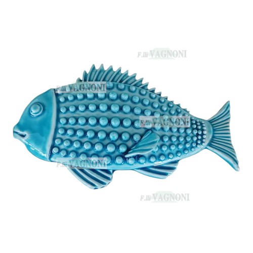 Pesce pesci squame - , in