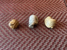 netsuke giapponese antico non