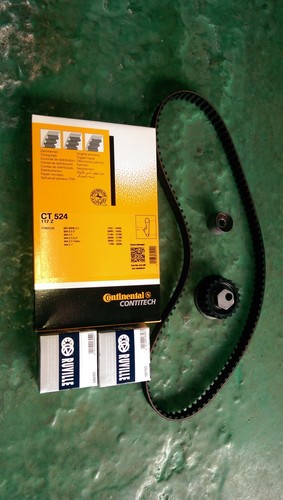Cinghia distribuzione rullo - cinghia, distribuzione,
