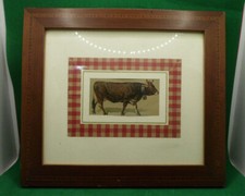 1904 coppia di  antichi vecchi quadri tecnica cromolito raffiguranti " BOVINI "