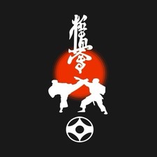 Kenpo/Kyokushin