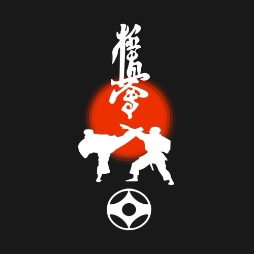 Kenpo/Kyokushin