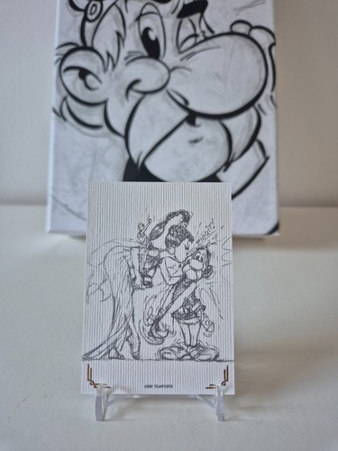 Panini asterix sine tempore - panini,