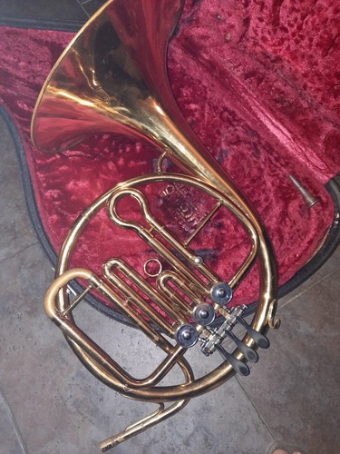 Corno strumento musicale - strumento,
