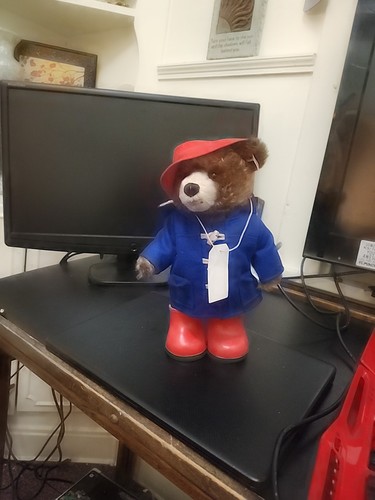 Peluche orso steiff paddington - peluche,