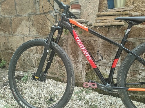 Mountain bike donna - mtb, wilier