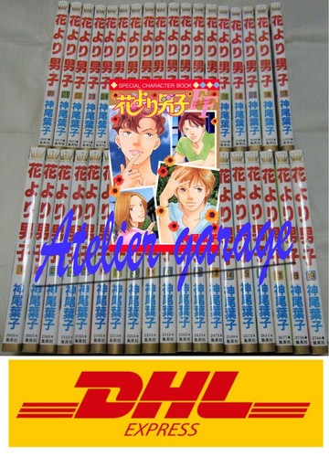 Used hana yori dango - hana,