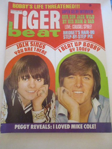 Dark shadows bobby sherman - dark,