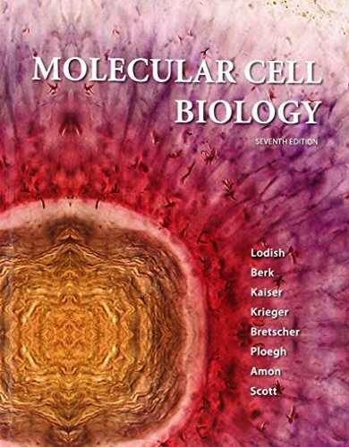 Molecular cell biology - molecular,