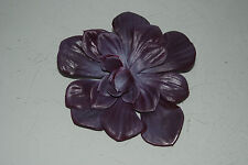 Acquario o Terrario Pesce