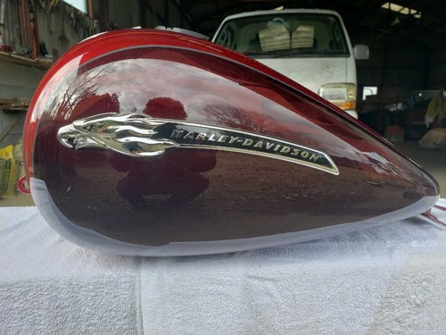 Screamin eagle emblem - screamin',