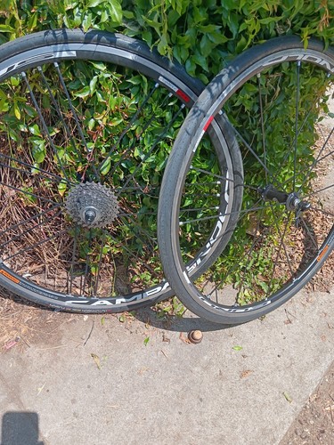 Set ruote campagnolo eurus - ruote,