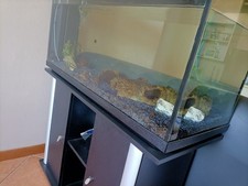 acquario completo usato nero,150l neon non funzionante. Dimensioni 105 X 40 x 58