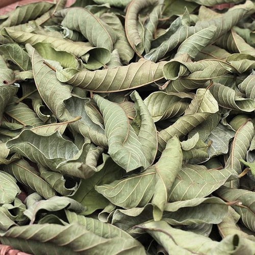 Foglie guava intere - foglie, di