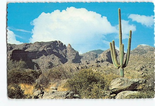 Cartolina catalina mountains - catalina,