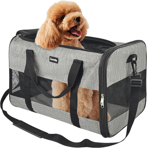 Borsa per trasporto del - borsa, il