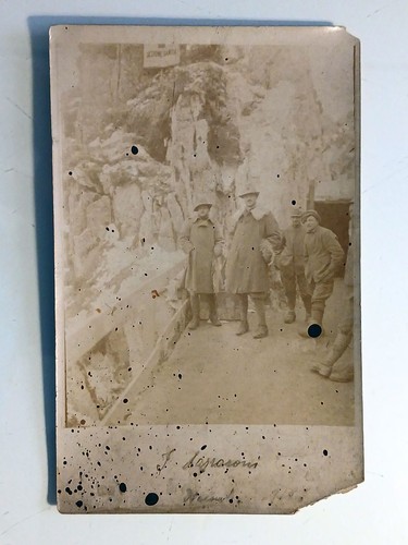 Fotografia albumina - albumina, di