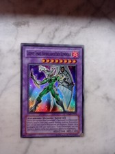 Lucente Fenice Sorvegliante