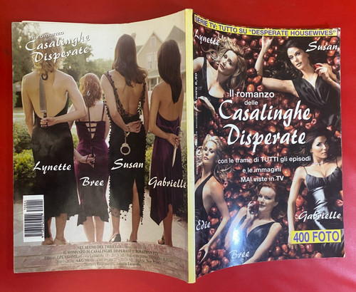 Romanzo delle casalinghe - romanzo,