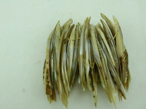 Bracciale abalone madreperla - bracciale,