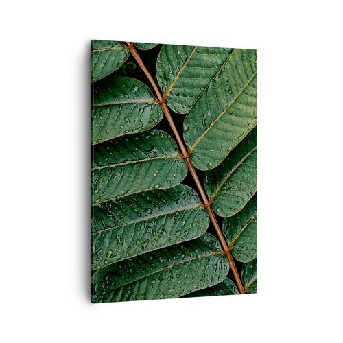 Quadro tela 50x70cm gocce - su,