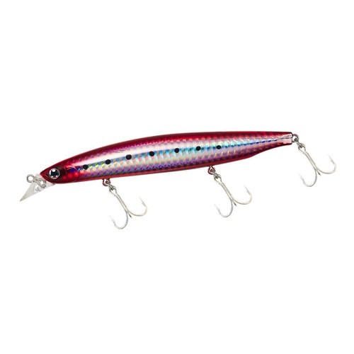Daiwa seabass minnow shoreline - daiwa,