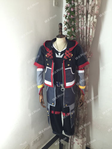 Kingdom hearts iii sora - kingdom, set