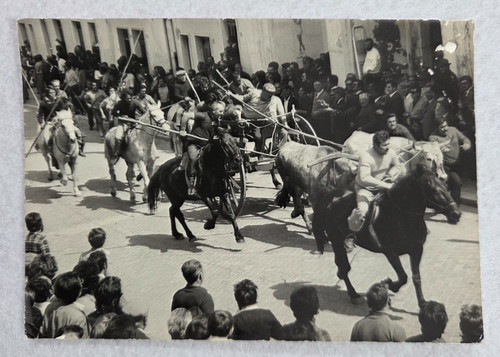 Foto cartolina foggia chieuti - foto,