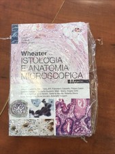 WHEATER-ISTOLOGIA E ANATOMIA