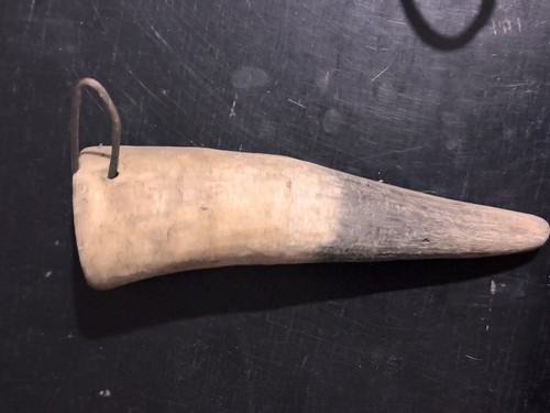Corno mucca vero vintage - vero,