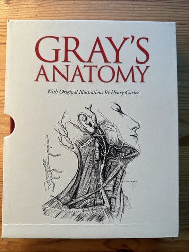 Gray anatomy henry - by,