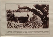 Tenda Protettiva Stampata Del