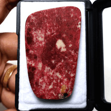 Fetta di pietra di palma