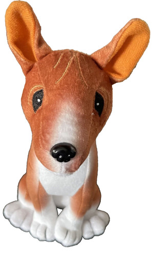 Roba seduta basenji - roba, cucciolo