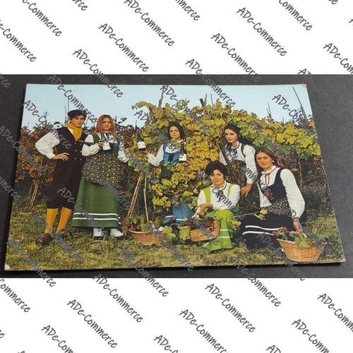 Cartolina casorzo monferrato - cartolina,