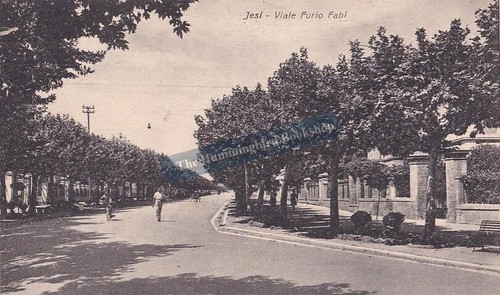 Viale furio fabi - viale, italy