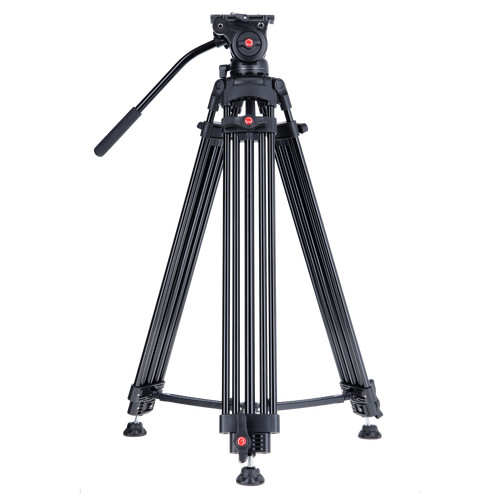 Treppiede video