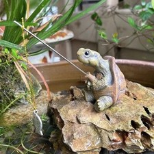 🐢Tartaruga Pescatrice in