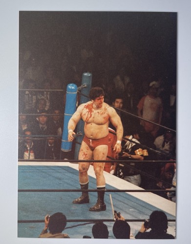 Wwe jesse dino - wwe,