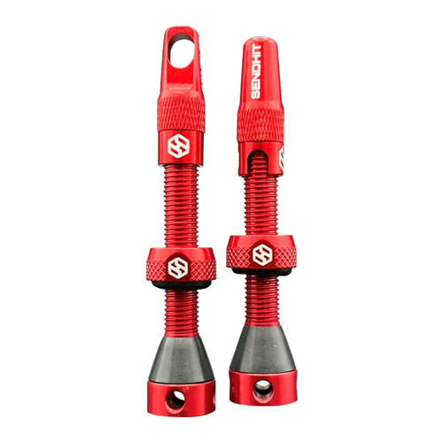 Valvole tubeless smontabile - tubeless,