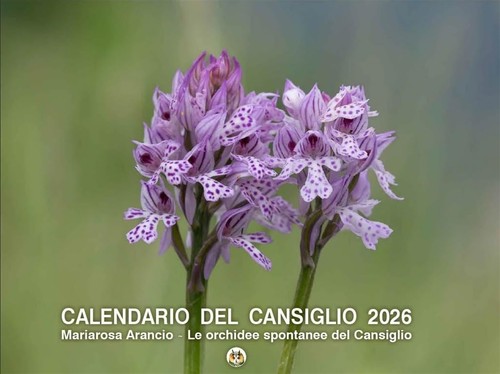 Calendario cansiglio 2026 - cansiglio,