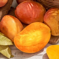 PIANTA DA FRUTTO TROPICALE