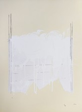 Mario Schifano, "Monocromo